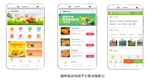 智慧農業新篇章 1.28億元數字化服務，守護農產品安全生命線